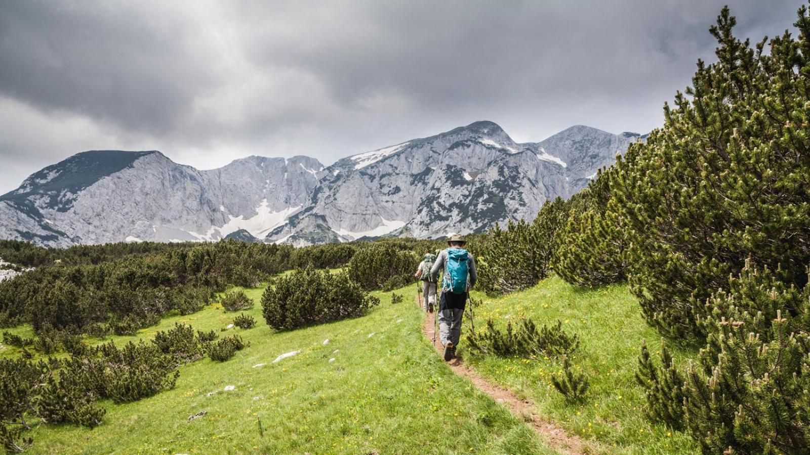 Turisticki Kompleks - Montana Tjentiste Bagian luar foto