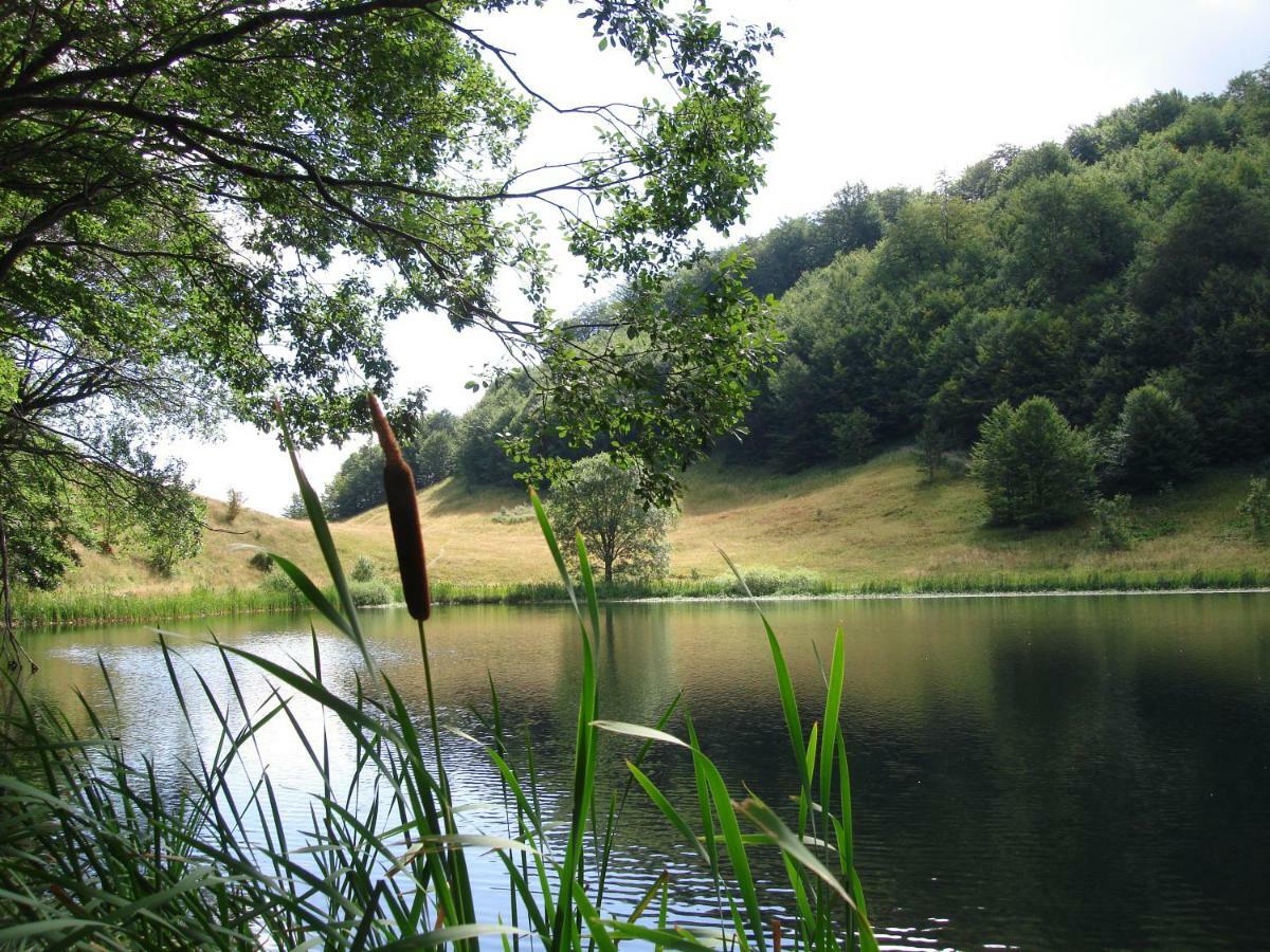 Turisticki Kompleks - Montana Tjentiste Bagian luar foto